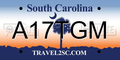A17TGM South Carolina License Plate