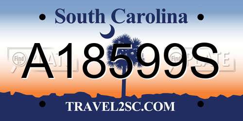 A18599S South Carolina License Plate