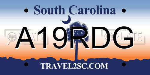 A19RDG South Carolina License Plate