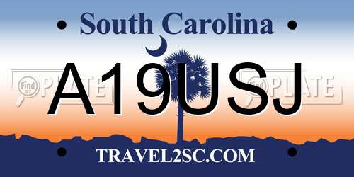 A19USJ South Carolina License Plate