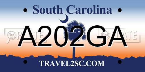 A202GA South Carolina License Plate