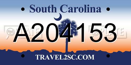 A204153 South Carolina License Plate