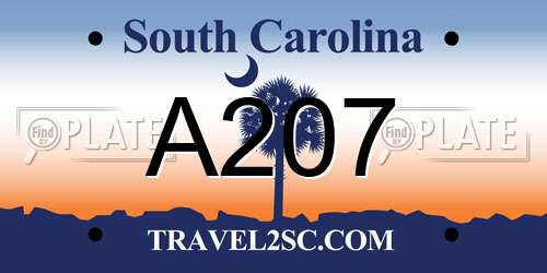 A207 South Carolina License Plate