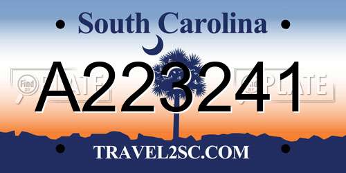 A223241 South Carolina License Plate