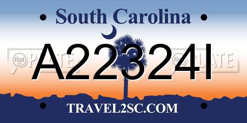 A22324I South Carolina License Plate