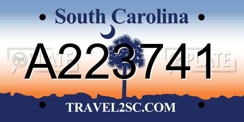A223741 South Carolina License Plate
