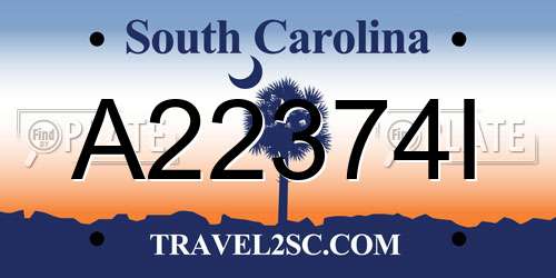 A22374I South Carolina License Plate