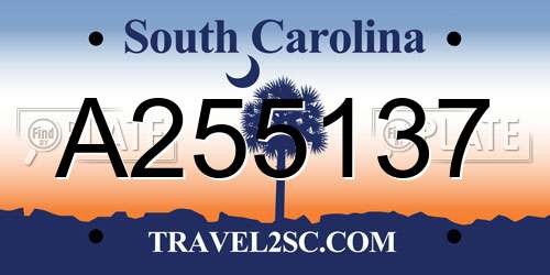 A255137 South Carolina License Plate