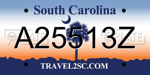 A25513Z South Carolina License Plate