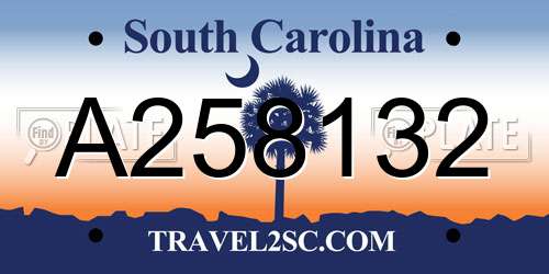 A258132 South Carolina License Plate