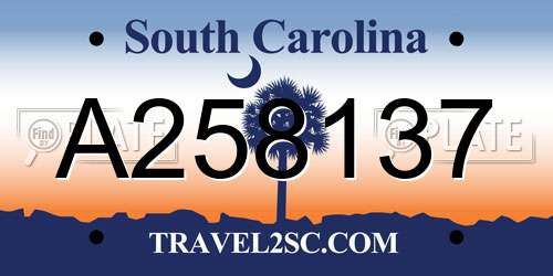 A258137 South Carolina License Plate