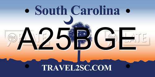 A25BGE South Carolina License Plate