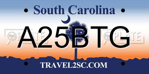 A25BTG South Carolina License Plate