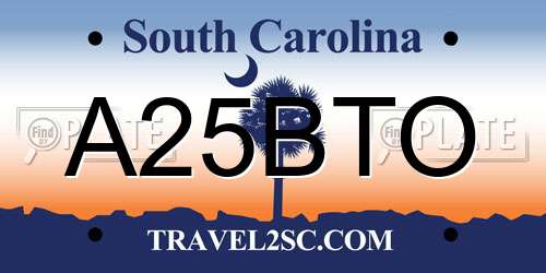 A25BTO South Carolina License Plate