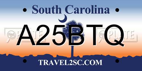 A25BTQ South Carolina License Plate