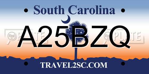 A25BZQ South Carolina License Plate