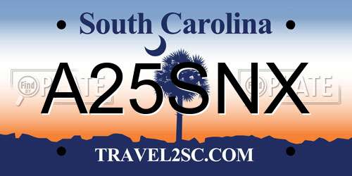 A25SNX South Carolina License Plate