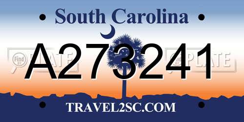 A273241 South Carolina License Plate