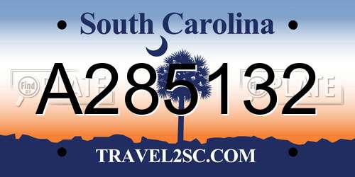 A285132 South Carolina License Plate