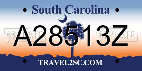 A28513Z South Carolina License Plate