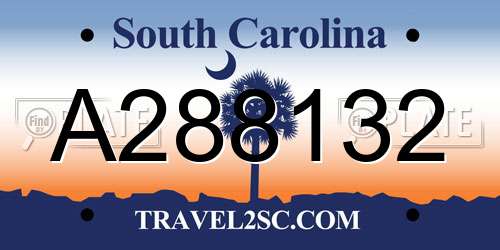 A288132 South Carolina License Plate