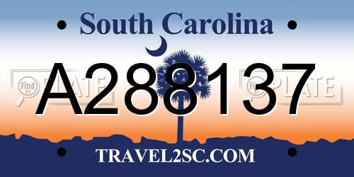 A288137 South Carolina License Plate