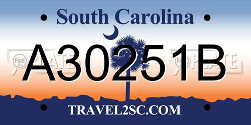 A30251B South Carolina License Plate