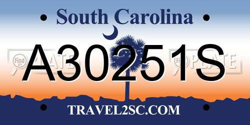 A30251S South Carolina License Plate