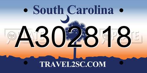 A302818 South Carolina License Plate