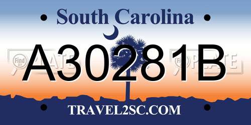 A30281B South Carolina License Plate