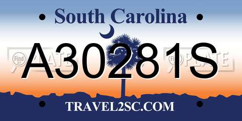 A30281S South Carolina License Plate