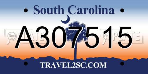 A307515 South Carolina License Plate