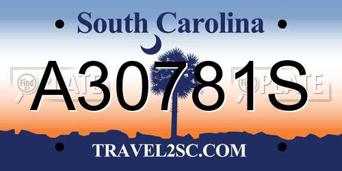 A30781S South Carolina License Plate
