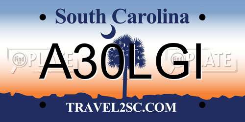 A30LGI South Carolina License Plate