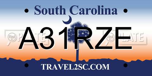 A31RZE South Carolina License Plate