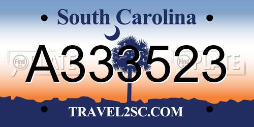 A333523 South Carolina License Plate