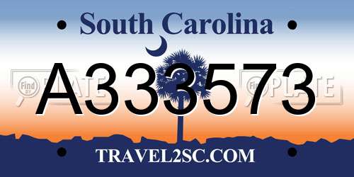 A333573 South Carolina License Plate