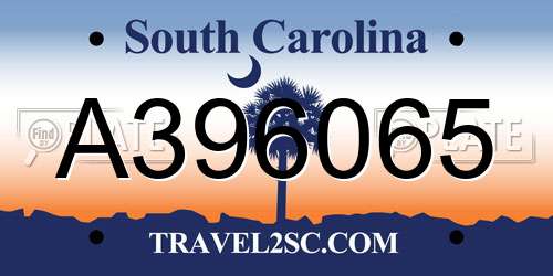 A396065 South Carolina License Plate