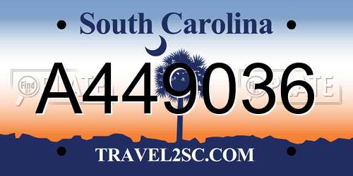 A449036 South Carolina License Plate