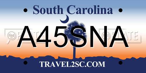 A45SNA South Carolina License Plate