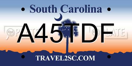 A45TDF South Carolina License Plate
