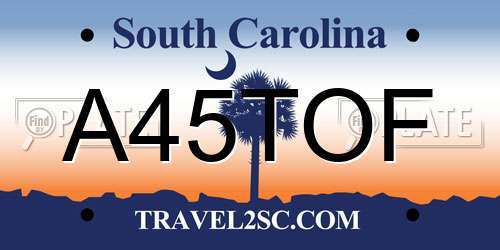 A45TOF South Carolina License Plate
