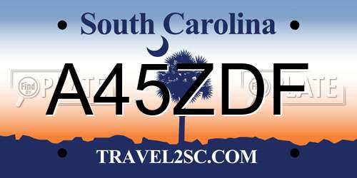 A45ZDF South Carolina License Plate