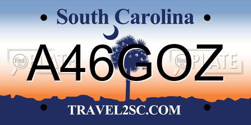 A46GOZ South Carolina License Plate