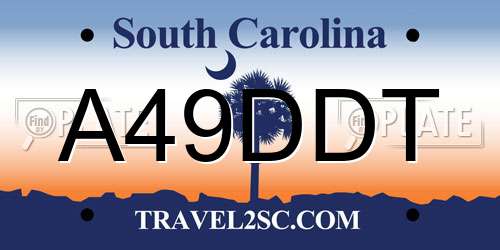 A49DDT South Carolina License Plate
