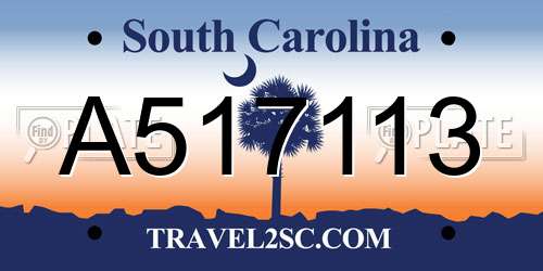 A517113 South Carolina License Plate