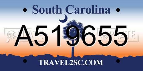 A519655 South Carolina License Plate