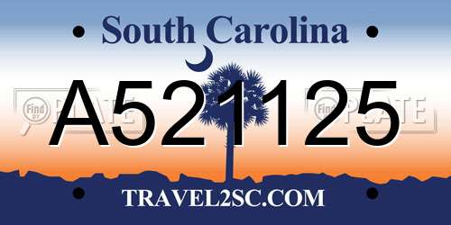 A521125 South Carolina License Plate