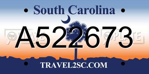 A522673 South Carolina License Plate