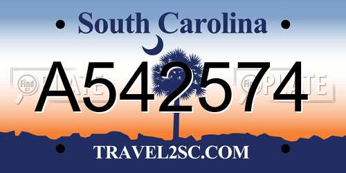 A542574 South Carolina License Plate